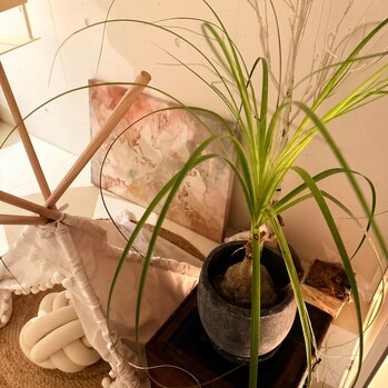 「整え」ていきましょう。